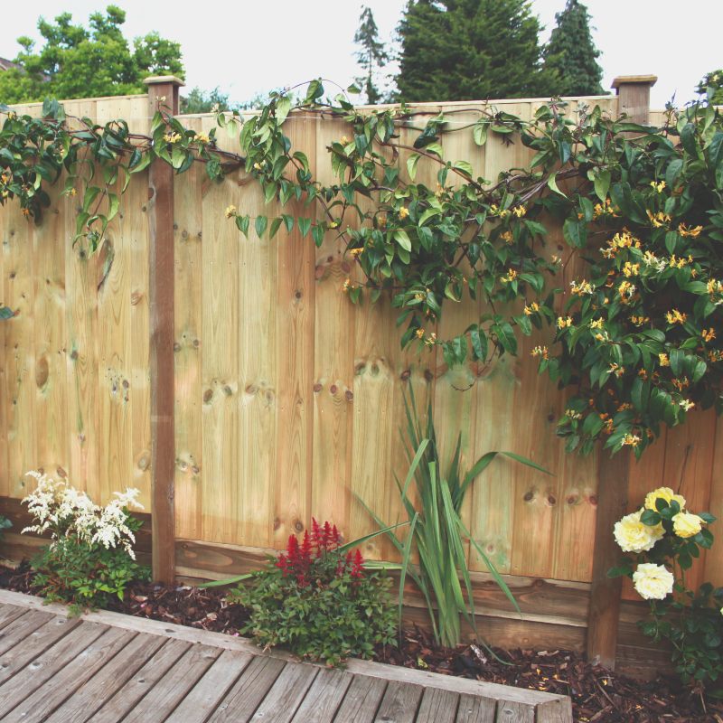 Chart Shiplap Single Sided Fence Panel 1.83m 1.83m 1042S